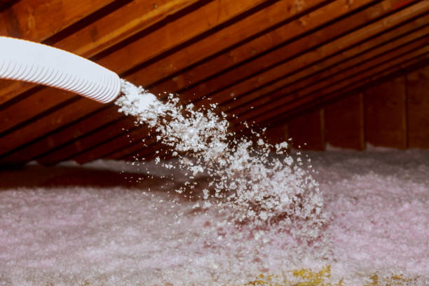 Best Insulation Removal  in Marshall, VA