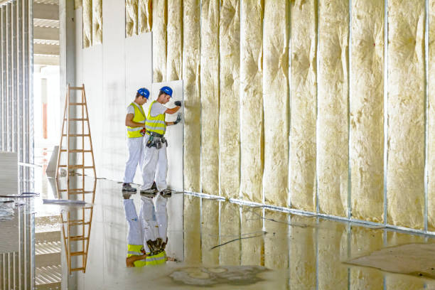 Best Attic Insulation Installation  in Marshall, VA